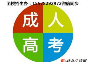 桂林电子科技大学函授物流管理专业与信息技术咨询服务详解